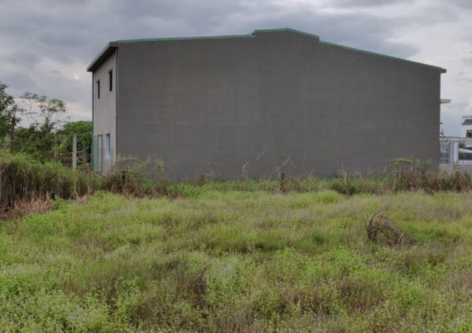 CẦN BÁN GẤP LÔ ĐẤT THỔ CƯ TẠI XÃ HƯNG LONG, HUYỆN BÌNH CHÁNH, TP. HCM