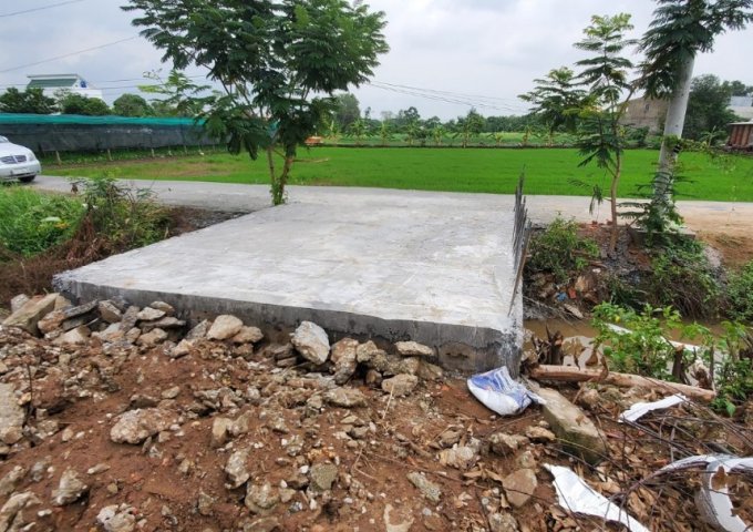 CẦN BÁN GẤP LÔ ĐẤT THỔ CƯ TẠI XÃ HƯNG LONG, HUYỆN BÌNH CHÁNH, TP. HCM