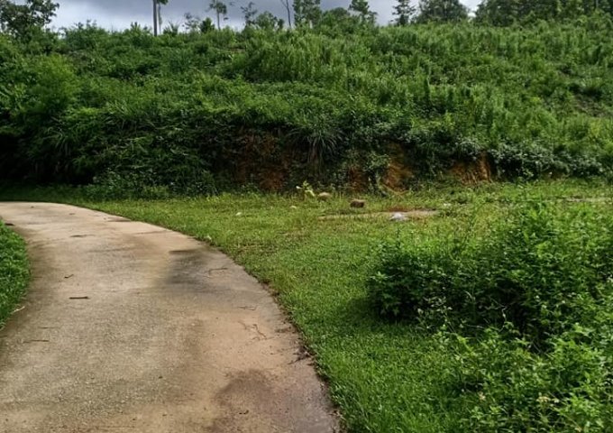 Chính chủ cần bán lô đất tại Quảng Ninh