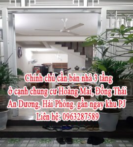 Chính chủ cần bán nhà 3 tầng ở cạnh chung cư Hoàng Mai, Đồng Thái, An Dương, gần ngay khu PJ