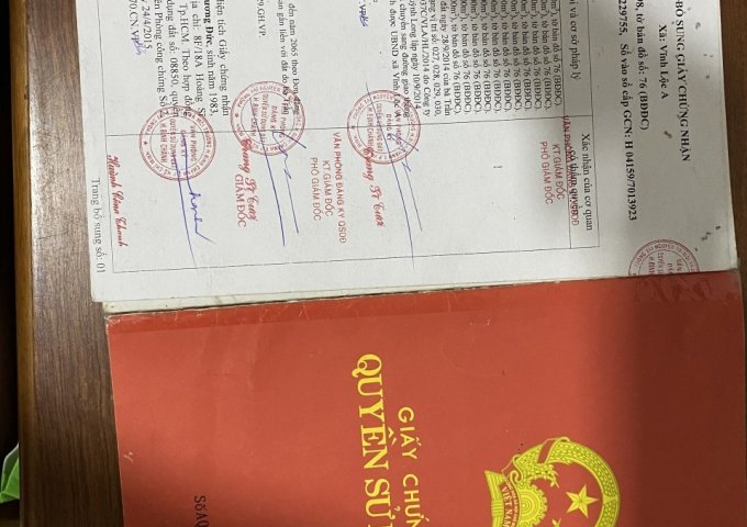 CẦN BÁN ĐẤT TRỒNG CÂY LÂU NĂM TẠI ĐƯỜNG KINH TRUNG ƯƠNG , XÃ VĨNH LỘC A - BÌNH CHÁNH