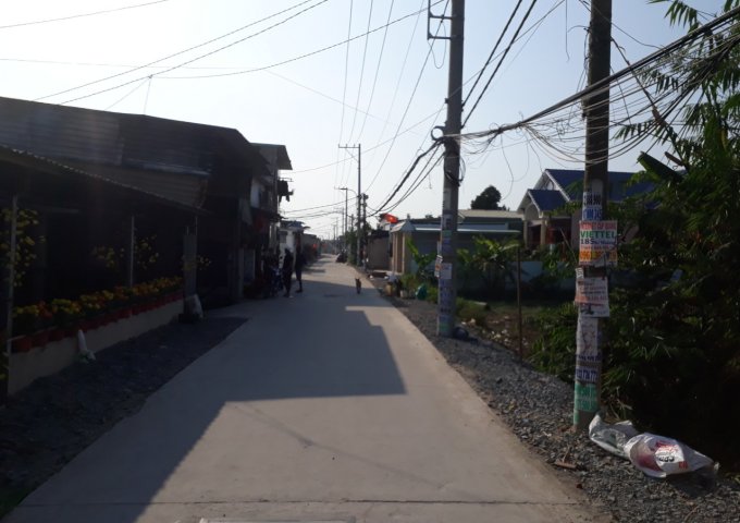 CẦN BÁN ĐẤT TRỒNG CÂY LÂU NĂM TẠI ĐƯỜNG KINH TRUNG ƯƠNG , XÃ VĨNH LỘC A - BÌNH CHÁNH