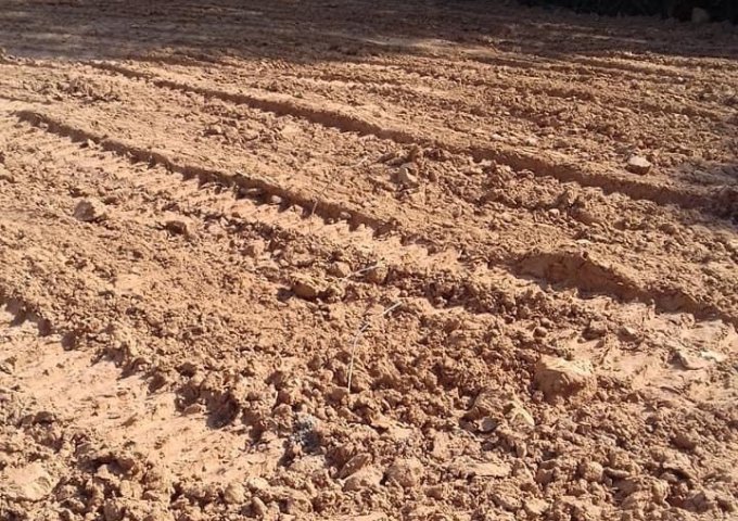 CẦN BÁN ĐẤT CHÍNH CHỦ PHÁP LÝ: ĐẦY ĐỦ. CÓ SỔ RIÊNG. DIỆN TÍCH 539.5M2