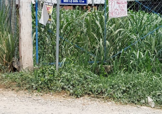 CHÍNH CHỦ CẦN BÁN LÔ ĐẤT ĐẸP ẤP TÂN HỘI, XÃ ĐỨC LẬP THƯỢNG, HUYỆN ĐỨC HÒA, LONG AN