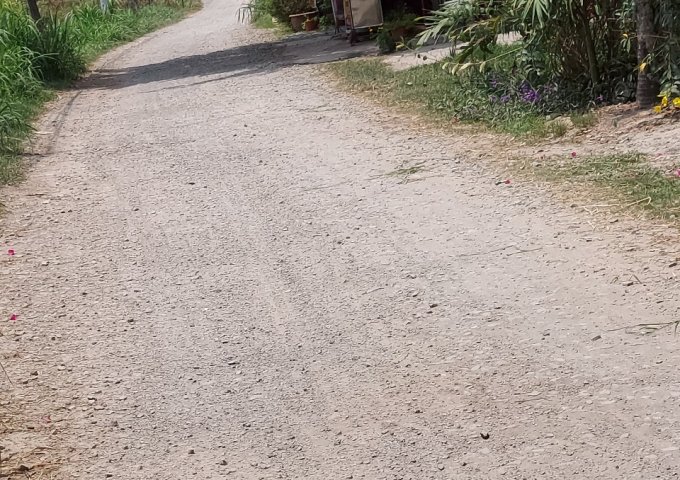 CHÍNH CHỦ CẦN BÁN LÔ ĐẤT ĐẸP ẤP TÂN HỘI, XÃ ĐỨC LẬP THƯỢNG, HUYỆN ĐỨC HÒA, LONG AN