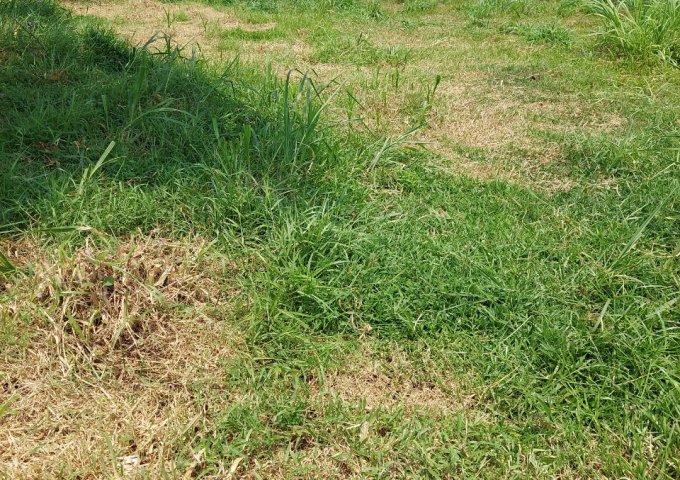 CHÍNH CHỦ CẦN BÁN LÔ ĐẤT ĐẸP ẤP TÂN HỘI, XÃ ĐỨC LẬP THƯỢNG, HUYỆN ĐỨC HÒA, LONG AN