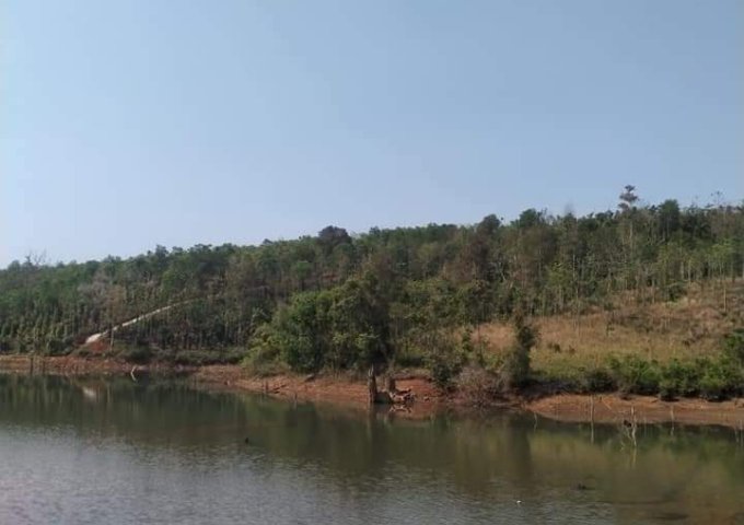 Bán 2.7ha đất ở xã Nâm N’Jang, Huyện Đắk Song, tỉnh Đắk Nông