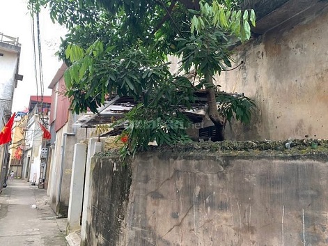 Chính chủ  bán đất tại thôn Lại Hoàng xã Yên Thường, Gia Lâm, Hà Nội