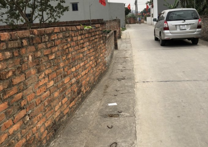 CHÍNH CHỦ BÁN ĐẤT THỔ CƯ TẠI THÔN ĐAN TẢO, XÃ TÂN MINH, HUYỆN SÓC SƠN, HÀ NỘI