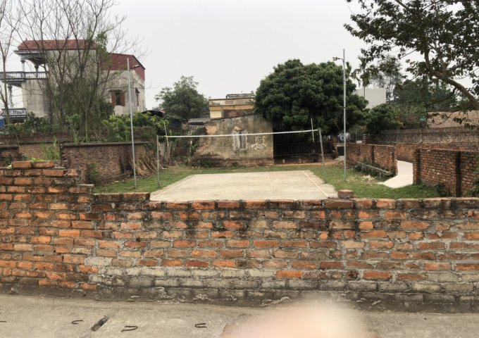 CHÍNH CHỦ BÁN ĐẤT THỔ CƯ TẠI THÔN ĐAN TẢO, XÃ TÂN MINH, HUYỆN SÓC SƠN, HÀ NỘI