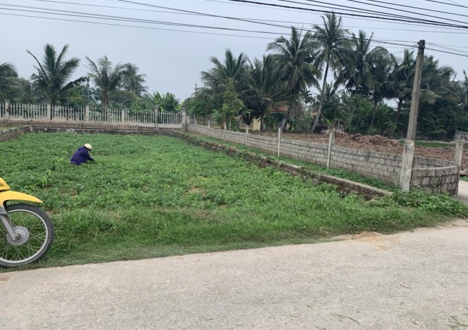 GẤP! CẦN RA NHANH 2 LÔ LIỀN KỀ DT 5X20/LÔ - ĐƯỜNG X3 NGA AN, NGA SƠN, THANH HÓA. LH: 0973980828