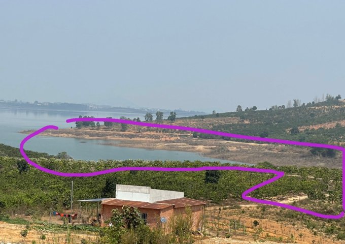 B11. CẦN BÁN LÔ ĐẤT GIÁ ĐẦU TƯ , DIỆN TÍCH 1,4 HECTA, SỔ 9 SÀO , ĐANG LÀM ĐƯỜNG NHỰA 7M .ĐẤT GIÁP NƯỚC. VIEW HỒ THUỶ ĐIỆN ĐẠI NINH.