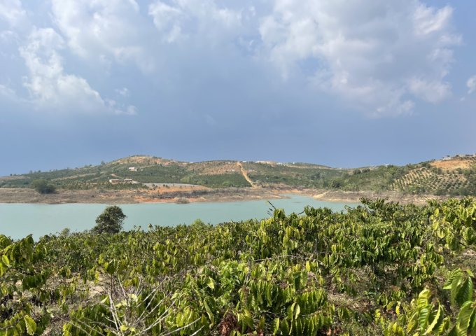 B11. CẦN BÁN LÔ ĐẤT GIÁ ĐẦU TƯ , DIỆN TÍCH 1,4 HECTA, SỔ 9 SÀO , ĐANG LÀM ĐƯỜNG NHỰA 7M .ĐẤT GIÁP NƯỚC. VIEW HỒ THUỶ ĐIỆN ĐẠI NINH.