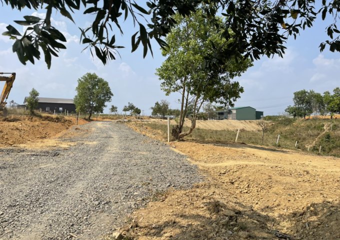 B12; CẦN BÁN 7 HECTA. ĐỐI DIỆN THUỶ ĐIỆN ĐẠI NINH. CÁCH QUỐC LỘ 28B 300M, ĐƯỜNG LỚN XE BEN CHẠY ( LÀM ĐƯỜNG NHỰA 6M VÔ TỚI ĐẤT.).Đ/C: TÀ HINE, HUYỆN ĐỨC TRỌNG, TỈNH LÂM ĐỒNG