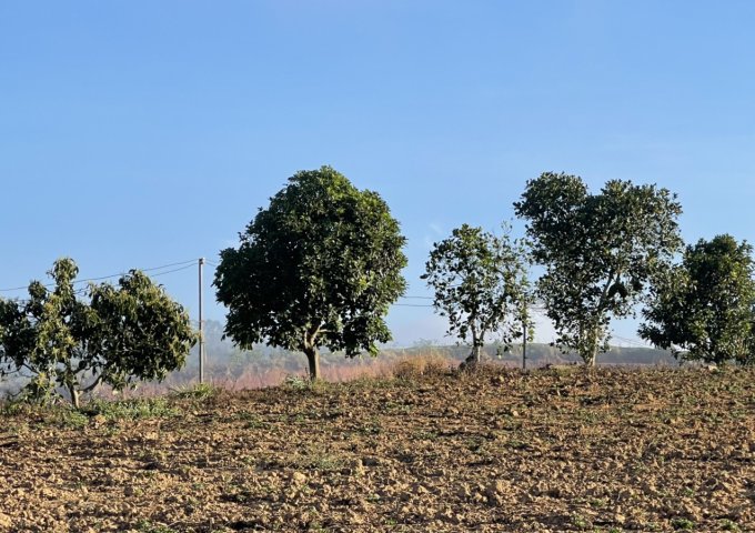 B12; CẦN BÁN 7 HECTA. ĐỐI DIỆN THUỶ ĐIỆN ĐẠI NINH. CÁCH QUỐC LỘ 28B 300M, ĐƯỜNG LỚN XE BEN CHẠY ( LÀM ĐƯỜNG NHỰA 6M VÔ TỚI ĐẤT.).Đ/C: TÀ HINE, HUYỆN ĐỨC TRỌNG, TỈNH LÂM ĐỒNG