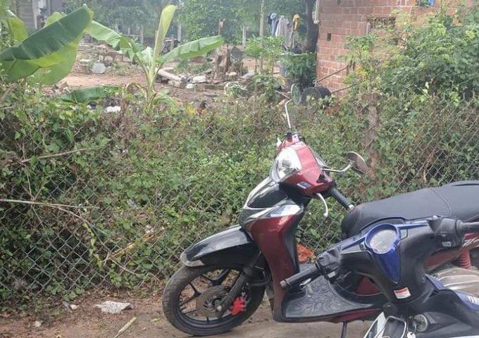 BÁN ĐẤT GIÁ ĐẦU TƯ BÌNH AN 1, PHƯỚC THÀNH, TUY PHƯỚC, BÌNH ĐỊNH