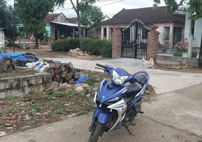 BÁN ĐẤT GIÁ ĐẦU TƯ BÌNH AN 1, PHƯỚC THÀNH, TUY PHƯỚC, BÌNH ĐỊNH