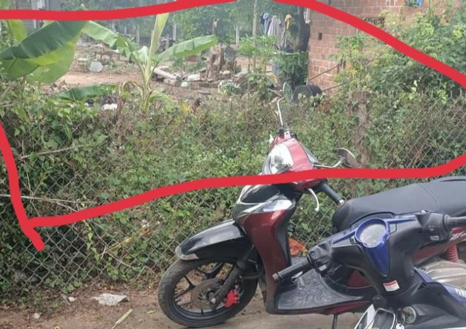 BÁN ĐẤT GIÁ ĐẦU TƯ BÌNH AN 1, PHƯỚC THÀNH, TUY PHƯỚC, BÌNH ĐỊNH