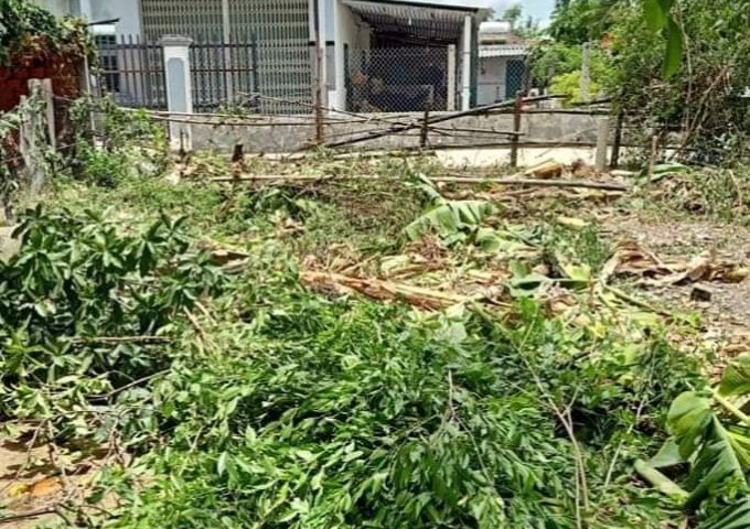 BÁN ĐẤT GIÁ ĐẦU TƯ BÌNH AN 1, PHƯỚC THÀNH, TUY PHƯỚC, BÌNH ĐỊNH