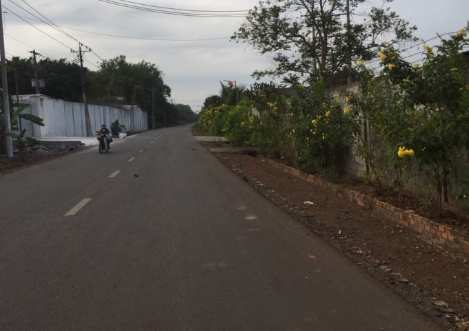 MỞ BÁN 48 NỀN KHU DÂN CƯ PHÚ MỸ NẰM TẠI ẤP SÔNG XOÀI 1, XÃ SÔNG XOÀI, THỊ XÃ PHÚ MỸ, TỈNH BÀ RỊA - VŨNG TÀU