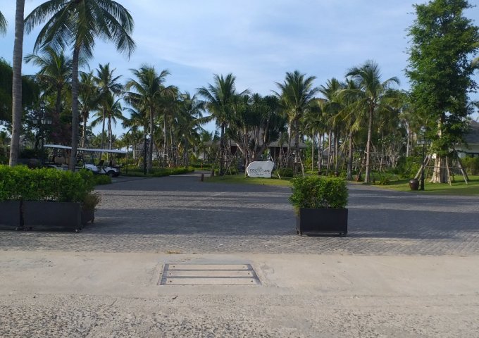 CHỦ CẦN BÁN GẤP LÔ ĐẤT HOA PHÚ, NGHĨA HÒA, TƯ NGHĨA, QUẢNG NGÃI