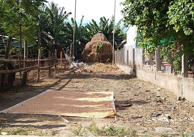 CHỦ CẦN BÁN GẤP LÔ ĐẤT HOA PHÚ, NGHĨA HÒA, TƯ NGHĨA, QUẢNG NGÃI