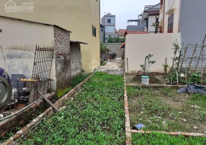 Chính chủ cần bán đất Hậu Ái, Vân Canh, Hoài Đức, Hà Nội