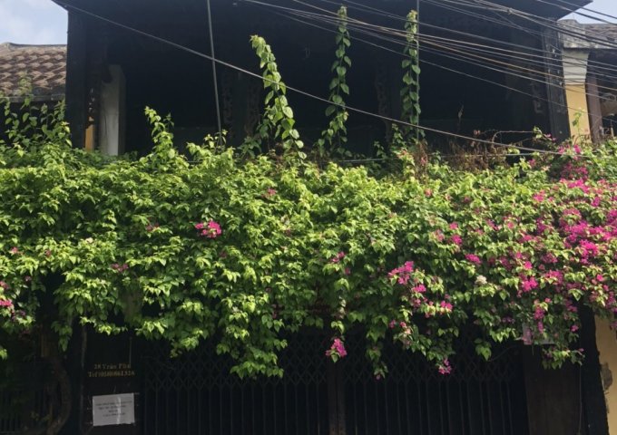 CẦN CHO THUÊ MẶT TIỀN TRẦN PHÚ PHỐ CỔ HỘI AN