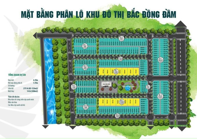 Tên dự án:  Dự án đất đấu giá Bắc Đồng Đầm
Vị trí: Xã Tây Sơn, Huyện Tiền Hải, Tỉnh Thái Bình