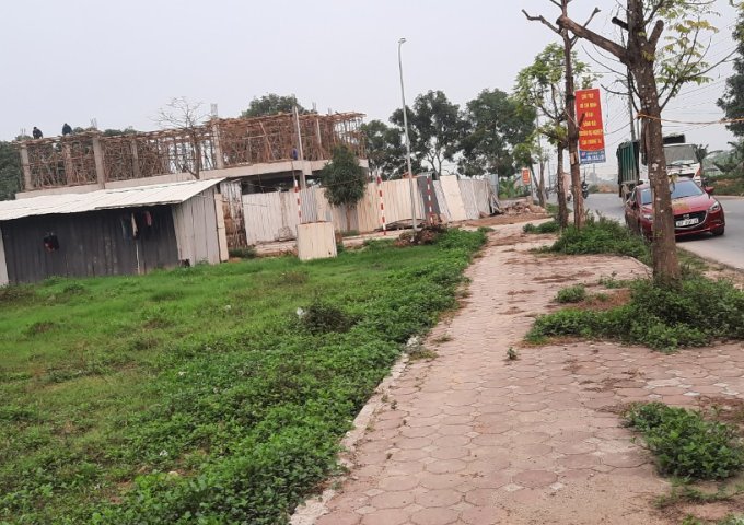 CHÍNH CHỦ MỞ BÁN LÔ ĐẤT ĐẤU GIÁ TẠI THỊ TRẤN CHI ĐÔNG, HUYỆN MÊ LINH, HÀ NỘI