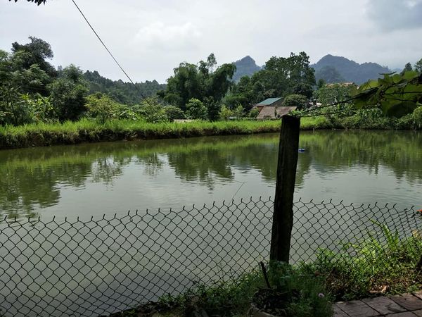 Cần bán Bán trang trại tại km 9 Cốc San, Lào Cai