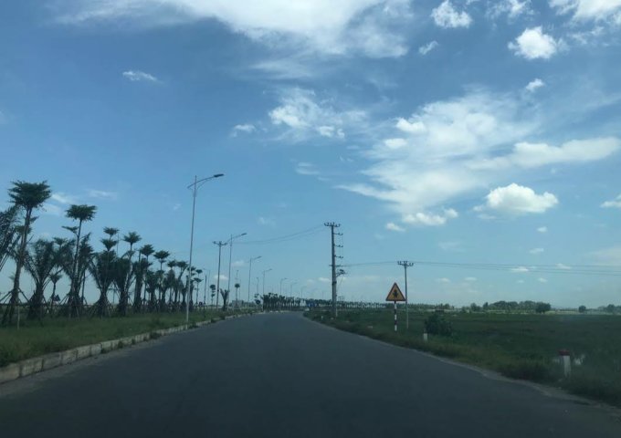 BÁN ĐẤT TRANG TRẠI TÂN ƯỚC, HUYỆN THANH OAI, HÀ NỘI