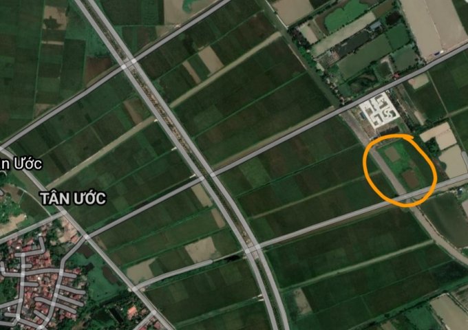 BÁN ĐẤT TRANG TRẠI TÂN ƯỚC, HUYỆN THANH OAI, HÀ NỘI