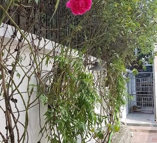 BÁN NHÀ BT KHU ĐẤU GIÁ CA HUYỆN THANH TRÌ, HÀ NỘI