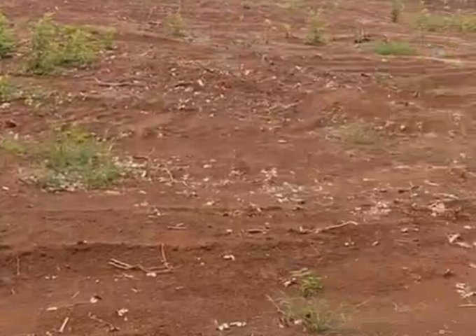 CƠ HỘI TỐT SỞ HỮU 5 LÔ ĐẤT CỰC ĐẸP TẠI HUYỆN ĐỒNG PHÚ - TỈNH BÌNH PHƯỚC