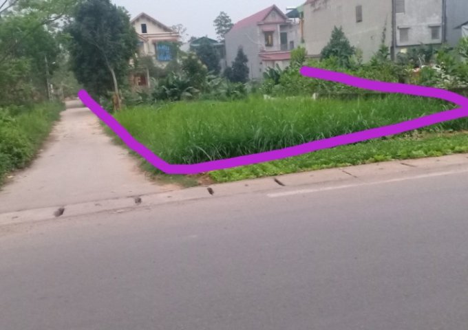 CHÍNH CHỦ CẦN BÁN LÔ ĐẤT FUN THỔ CƯ TẠI KHU THANH BÌNH , PHƯỜNG THANH VINH , THỊ XÃ PHÚ THỌ , TỈNH PHÚ THỌ