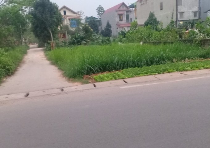 CHÍNH CHỦ CẦN BÁN LÔ ĐẤT FUN THỔ CƯ TẠI KHU THANH BÌNH , PHƯỜNG THANH VINH , THỊ XÃ PHÚ THỌ , TỈNH PHÚ THỌ