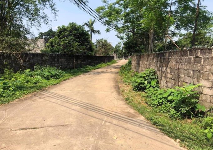 CẦN TIỀN EM BÁN ĐẤT CHÍNH CHỦ XÂY BIỆT PHỦ, BIỆT THỰ NHÀ VƯỜN.