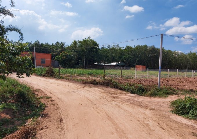 Bán 2 mảnh đất ấp Rộc, xã Thạnh Đức, huyện Gò Dầu, Tây Ninh.
