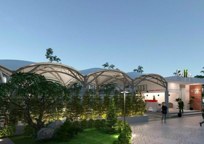 CƠ HỘI TỐT ĐỂ SỞ HỮU ĐẤT NỀN GIÁ RẺ DIỆN TÍCH LỚN TẠI CHƠN THÀNH - TỈNH BÌNH PHƯỚC