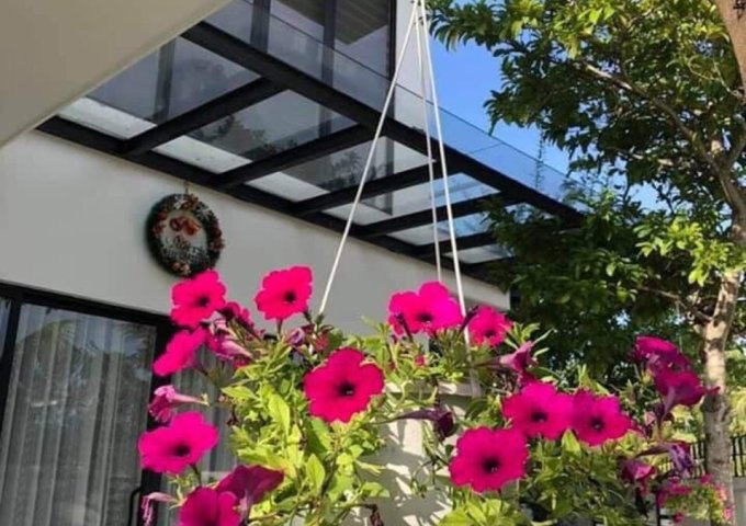 Bán Đất Vàng Sinh Lời Tại Khu đô thị Âu Lạc tọa lạc tại TL536, Nghi Khánh, Nghi Lộc, Nghệ An