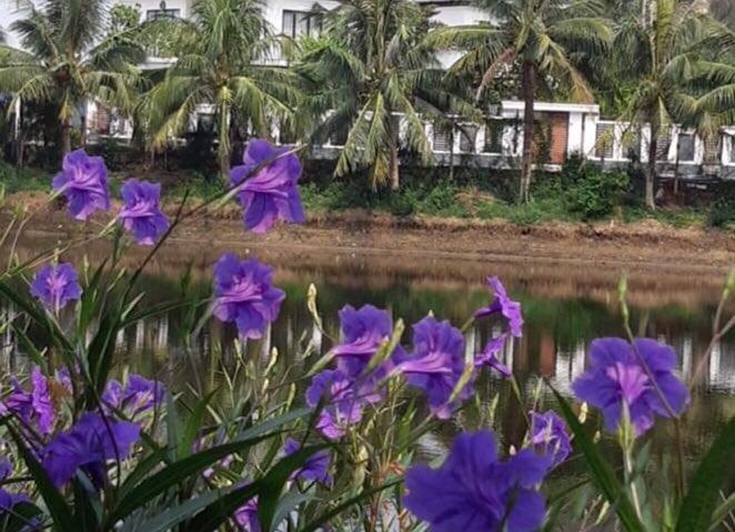 Bán Đất Vàng Sinh Lời Tại Khu đô thị Âu Lạc tọa lạc tại TL536, Nghi Khánh, Nghi Lộc, Nghệ An