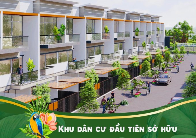 5 lý do khách hàng quyết định mua Elite Life ngay thời điểm này