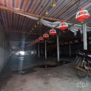 Cần bán trang trại tại Bình Lục, Hà Nam