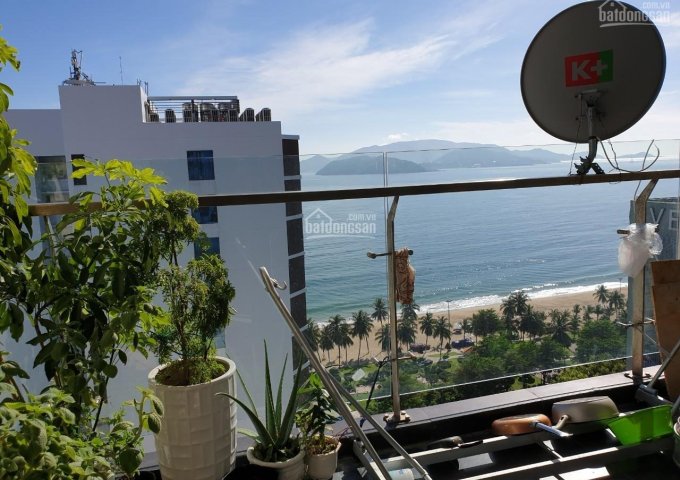 Chính chủ Cần Bán Căn Hộ Cao Cấp Maple Vị Trí Đắc Địa Tại  TP Nha Trang, Khánh Hòa