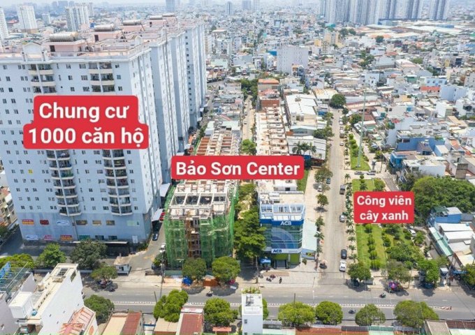 *** HOT HOT HOT ***  Biệt Thự TRIỆU ĐÔ  giữa lòng Trung Tâm Tp. HCM