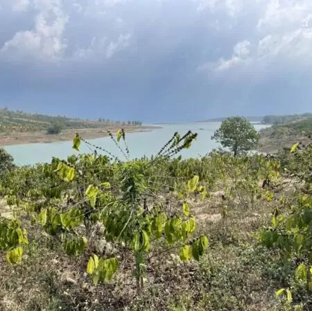 CHÍNH CHỦ CẦN BÁN 1,4 HA ĐẤT - TÀ HINE, HUYỆN ĐỨC TRỌNG, TỈNH LÂM ĐỒNG