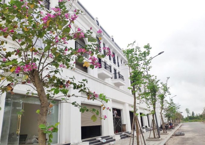 Bán căn Shophouse tại dự án Làng Việt Kiều Quốc Tế Hải Phòng giá ƯU ĐÃI nhất dự án