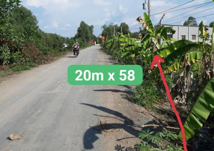 Bán đất MT đường nhựa  xã Bình Hòa Bắc - Đức Huệ - Long An - ngang 20m dài hết đất.