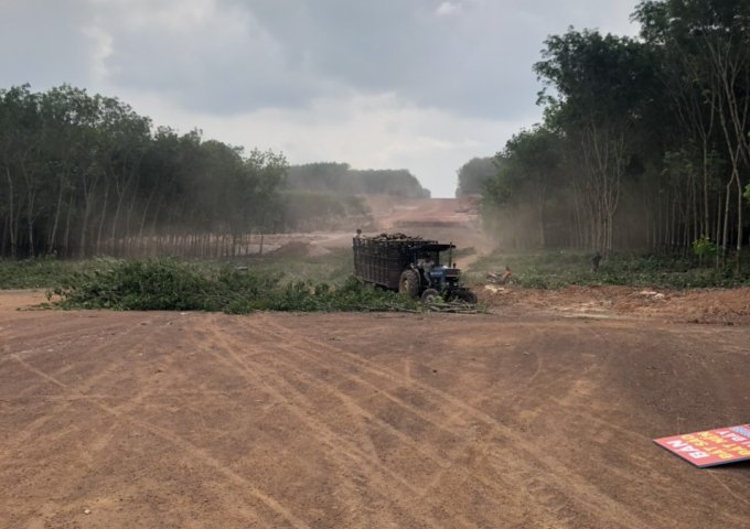 BÁN ĐẤT NỀN TUYẾN SỐ 3 ĐƯỜNG 42M KCN BECAMEX ĐỒNG PHÚ 6300HA